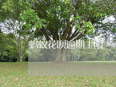 蚂蚁花呗逾期上限 蚂蚁花呗逾期上限