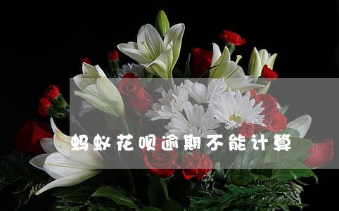 蚂蚁花呗逾期不能计算 蚂蚁花呗逾期不能计算