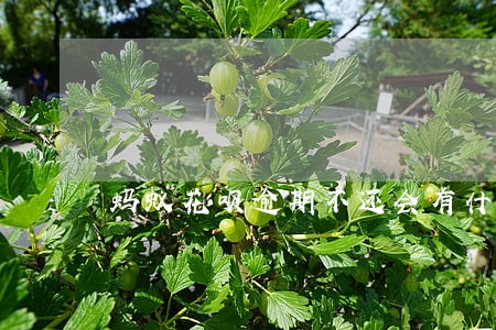 蚂蚁花呗逾期不还会有什么后果 蚂蚁花呗逾期不还会有什么后果