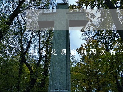 蚂蚁花呗逾期两次有什么影响吗 蚂蚁花呗逾期两次有什么影响吗
