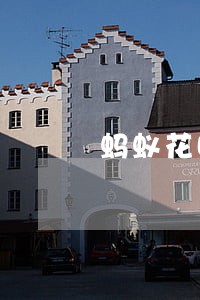 蚂蚁花呗逾期了十天还款被冻结