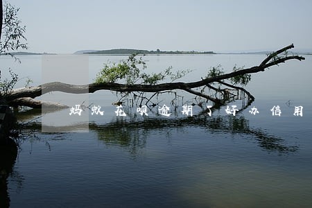 蚂蚁花呗逾期了好办信用卡吗 蚂蚁花呗逾期了好办信用卡吗