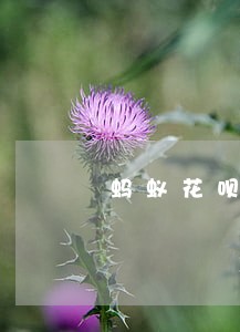蚂蚁花呗逾期了能办信用卡吗 蚂蚁花呗逾期了能办信用卡吗