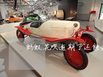 蚂蚁花呗逾期了还能办信用卡吗