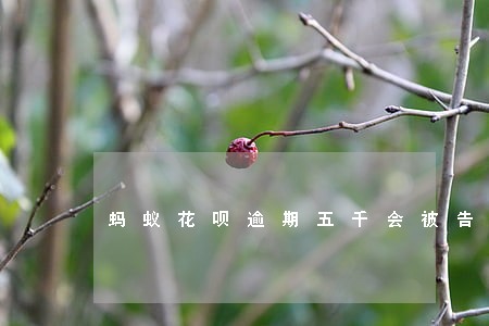 蚂蚁花呗逾期五千会被告吗 蚂蚁花呗逾期五千会被告吗