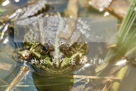 蚂蚁花呗逾期付款 蚂蚁花呗逾期付款