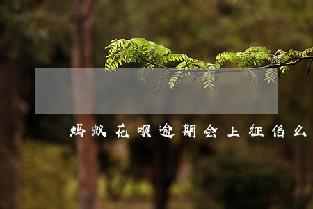 蚂蚁花呗逾期会上征信么 蚂蚁花呗逾期会上征信么
