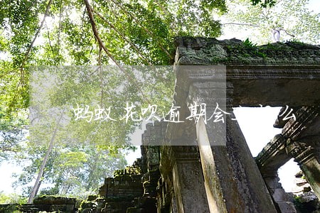 蚂蚁花呗逾期会上门么 蚂蚁花呗逾期会上门么