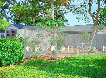 蚂蚁花呗逾期会影响银行征信 蚂蚁花呗逾期会影响银行征信