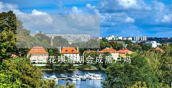 蚂蚁花呗逾期会成黑户吗 蚂蚁花呗逾期会成黑户吗