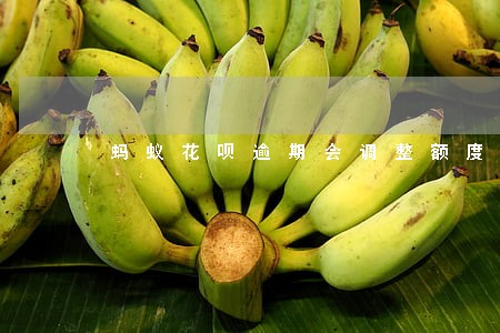 蚂蚁花呗逾期会调整额度吗