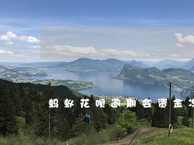 蚂蚁花呗逾期会资金冻结吗 蚂蚁花呗逾期会资金冻结吗