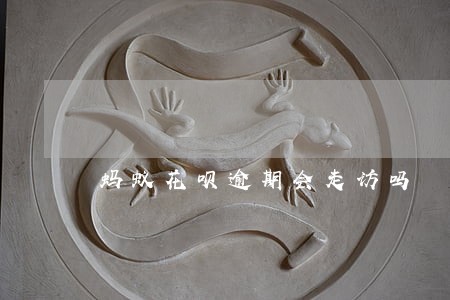 蚂蚁花呗逾期会走访吗