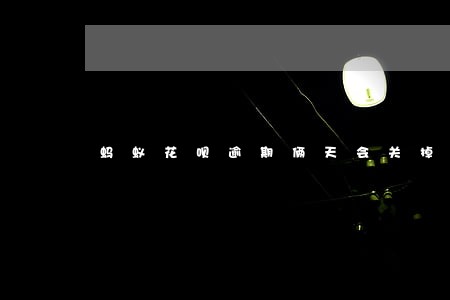 蚂蚁花呗逾期俩天会关掉么