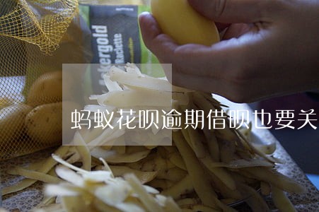 蚂蚁花呗逾期借呗也要关掉嘛 蚂蚁花呗逾期借呗也要关掉嘛