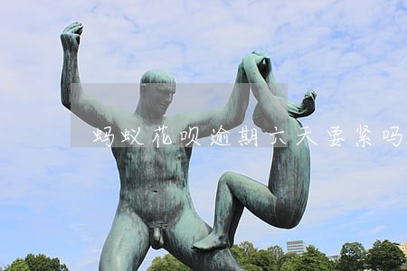 蚂蚁花呗逾期六天要紧吗 蚂蚁花呗逾期六天要紧吗