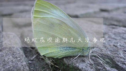 蚂蚁花呗逾期几天没事吧 蚂蚁花呗逾期几天没事吧