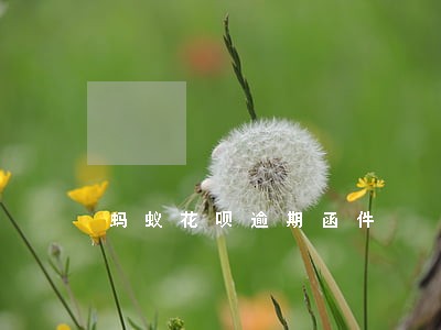 蚂蚁花呗逾期函件 蚂蚁花呗逾期函件
