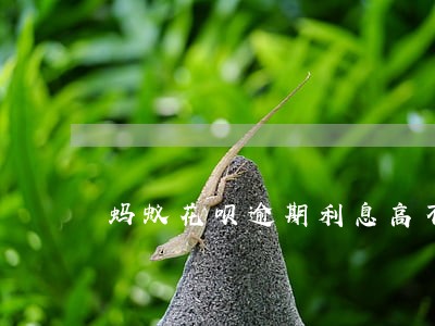 蚂蚁花呗逾期利息高不高 蚂蚁花呗逾期利息高不高
