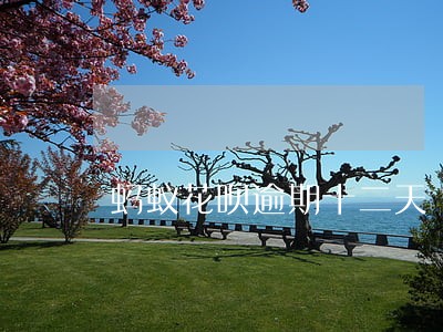 蚂蚁花呗逾期十二天