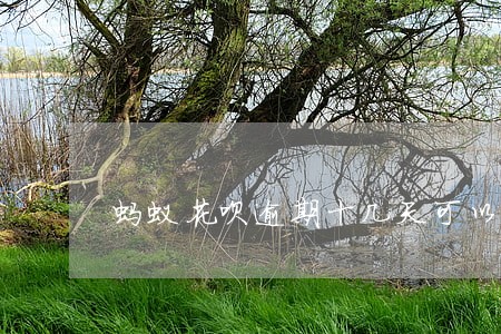 蚂蚁花呗逾期十几天可以吗 蚂蚁花呗逾期十几天可以吗