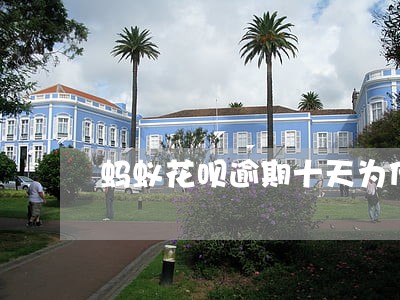 蚂蚁花呗逾期十天为什么没打电话 蚂蚁花呗逾期十天为什么没打电话