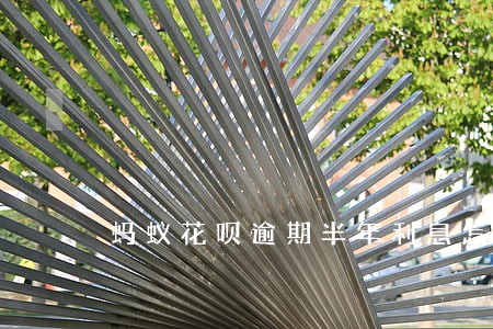 蚂蚁花呗逾期半年利息怎么算 蚂蚁花呗逾期半年利息怎么算