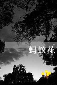蚂蚁花呗逾期半年忘记了怎么办 蚂蚁花呗逾期半年忘记了怎么办