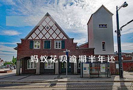 蚂蚁花呗逾期半年还 蚂蚁花呗逾期半年还