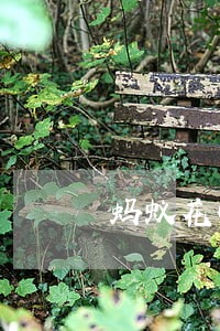 蚂蚁花呗逾期发来短信 蚂蚁花呗逾期发来短信