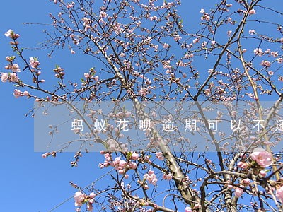 蚂蚁花呗逾期可以不还 蚂蚁花呗逾期可以不还