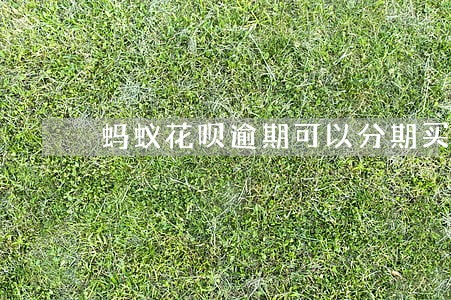 蚂蚁花呗逾期可以分期买手机吗 蚂蚁花呗逾期可以分期买手机吗