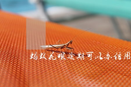 蚂蚁花呗逾期可以办信用卡 蚂蚁花呗逾期可以办信用卡