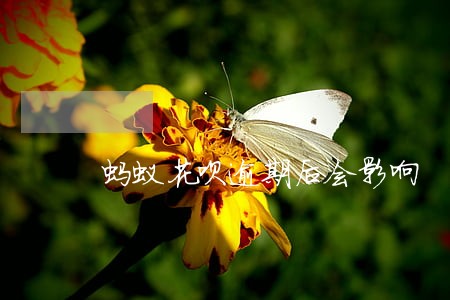 蚂蚁花呗逾期后会影响 蚂蚁花呗逾期后会影响