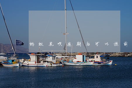 蚂蚁花呗逾期后可以提前还款吗 蚂蚁花呗逾期后可以提前还款吗