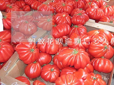 蚂蚁花呗逾期后多久恢复 蚂蚁花呗逾期后多久恢复