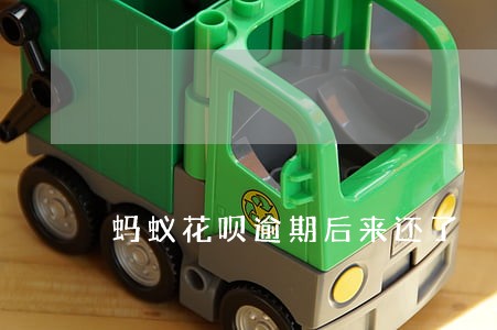 蚂蚁花呗逾期后来还了 蚂蚁花呗逾期后来还了