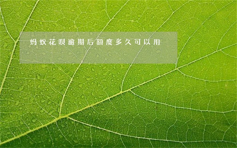 蚂蚁花呗逾期后额度多久可以用 蚂蚁花呗逾期后额度多久可以用