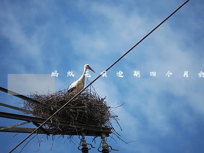 蚂蚁花呗逾期四个月会怎么样 蚂蚁花呗逾期四个月会怎么样