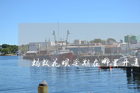 蚂蚁花呗逾期在哪里开通 蚂蚁花呗逾期在哪里开通