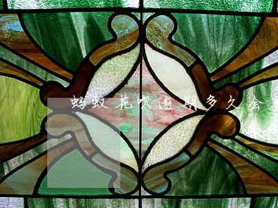 蚂蚁花呗逾期多久会委托第三方 蚂蚁花呗逾期多久会委托第三方
