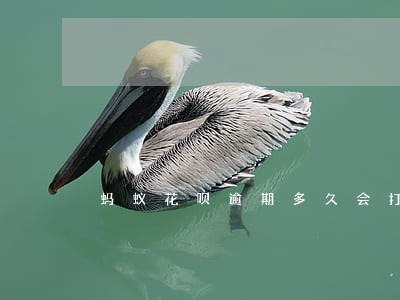 蚂蚁花呗逾期多久会打电话催 蚂蚁花呗逾期多久会打电话催