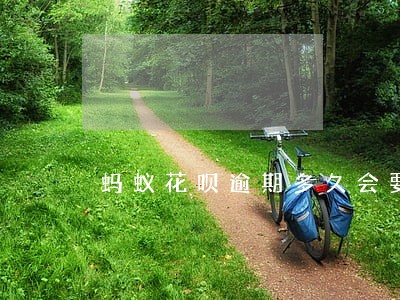 蚂蚁花呗逾期多久会要全额还款 蚂蚁花呗逾期多久会要全额还款