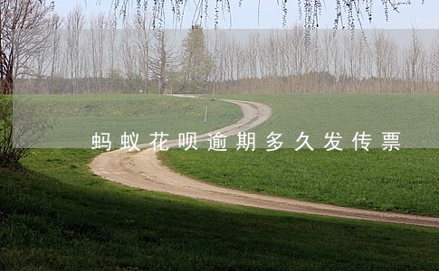 蚂蚁花呗逾期多久发传票 蚂蚁花呗逾期多久发传票