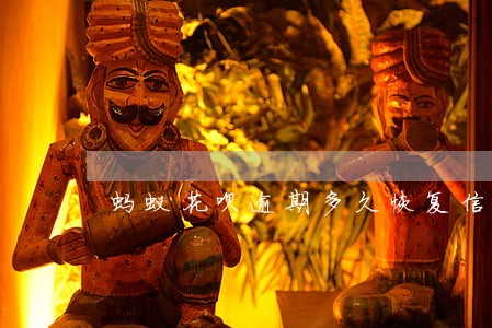 蚂蚁花呗逾期多久恢复信用 蚂蚁花呗逾期多久恢复信用