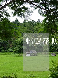 蚂蚁花呗逾期多久打电话联系 蚂蚁花呗逾期多久打电话联系