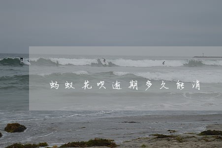 蚂蚁花呗逾期多久能消 蚂蚁花呗逾期多久能消