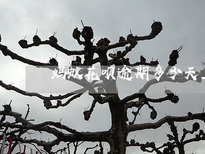 蚂蚁花呗逾期多少天上征信 蚂蚁花呗逾期多少天上征信