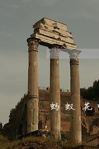 蚂蚁花呗逾期多少天会有利息 蚂蚁花呗逾期多少天会有利息