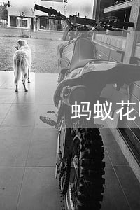 蚂蚁花呗逾期如何恢复 蚂蚁花呗逾期如何恢复